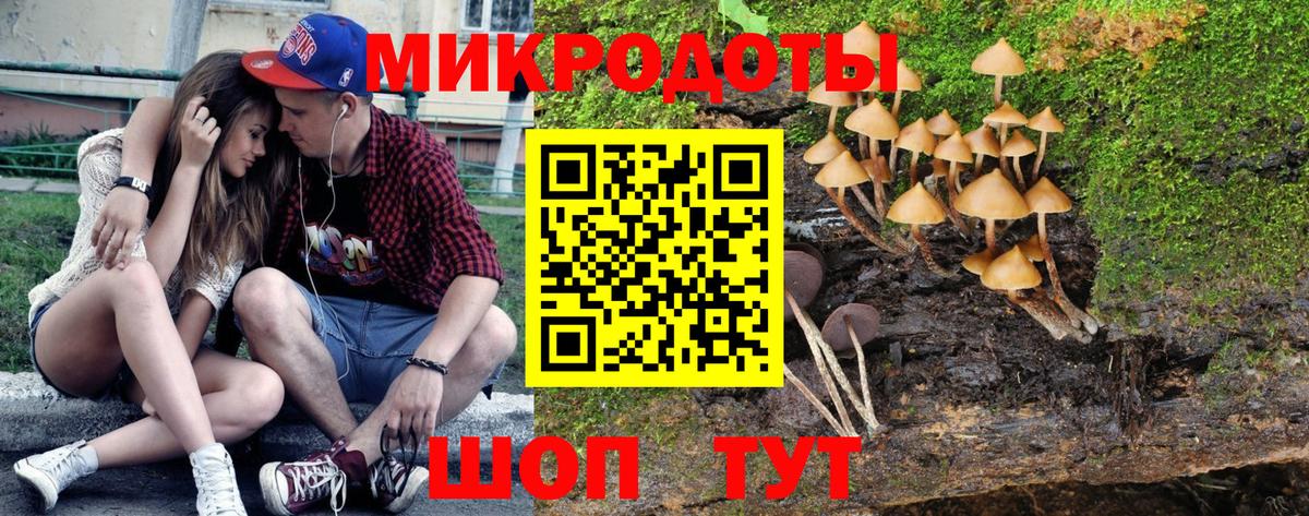 Ливны  купить наркотики сайты  Вход с VPN  Псилоцибиновые грибы прущие грибы  Галлюциногенные грибы Psilocybine cubensis 