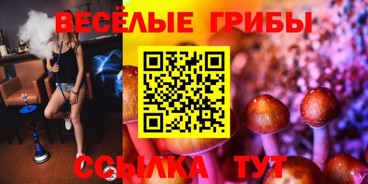 Псилоцибиновые грибы Psilocybe Ливны