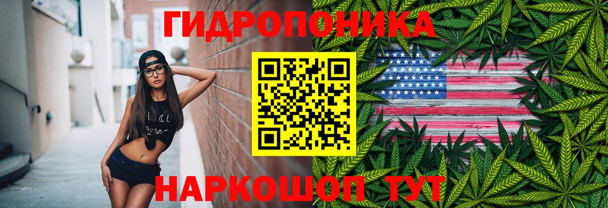 Бошки Шишки план  Вход с VPN  Ливны  МАРИХУАНА сатива  Бошки Шишки семена 